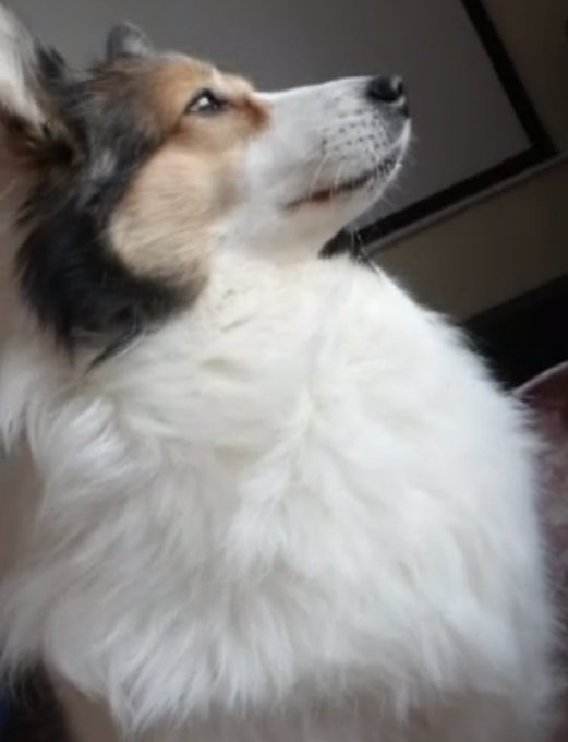 Twitterのコスプレ画像65