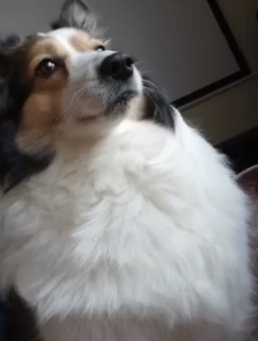 Twitterのコスプレ画像64