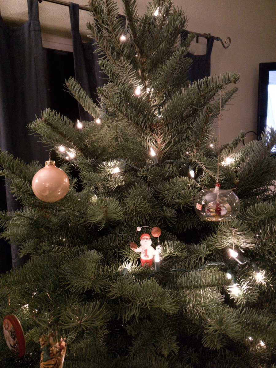 AlohaConnect's tweet photo. Time to start decorating! Thanks to everyone who ordered a tree from the Aloha tree sale!🎄🎄 https://t.co/z7zWakv0sx