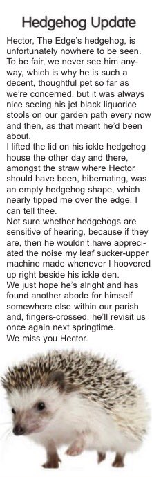 TheEdgeMag's tweet photo. @TheEdgeMag #hedgehog update #theedgemag #Chelmsford https://t.co/97BHCM8Tfm