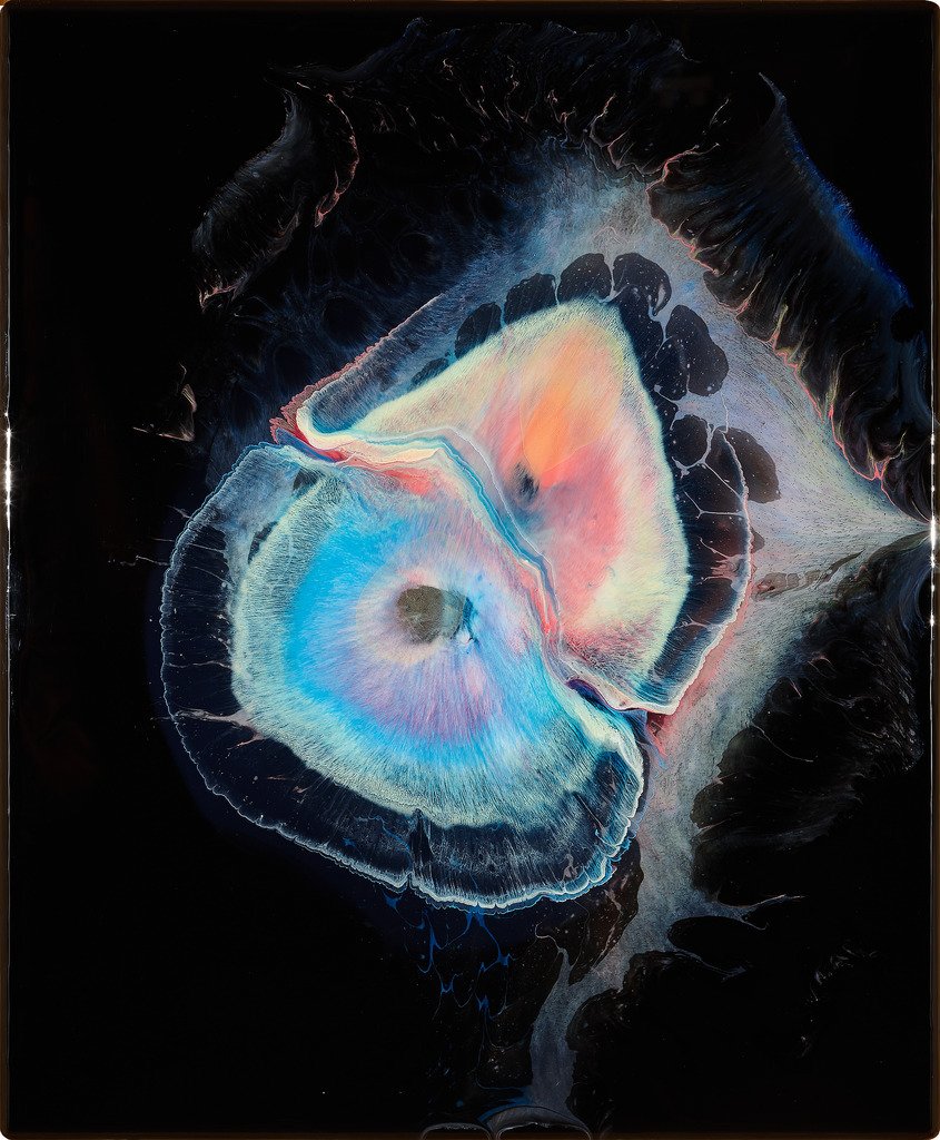 archillect's tweet image. 