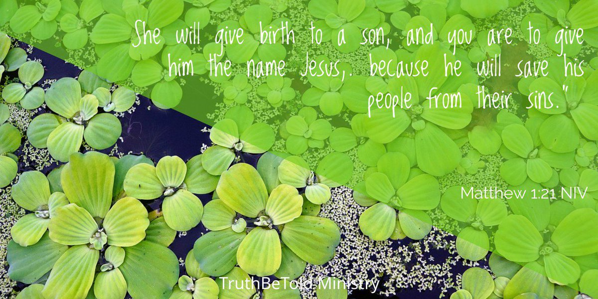 TruthBeToldM's tweet photo. #truthbetoldministry #bibleverse #verse #bible #verseoftheday #todayreading #christmas #today #worship #readthebible #God #Jesus #pray #faith #truth #Godislove #love #holyspirit #redemmed #salvation #biblestudy https://t.co/uZzDxtcZhG