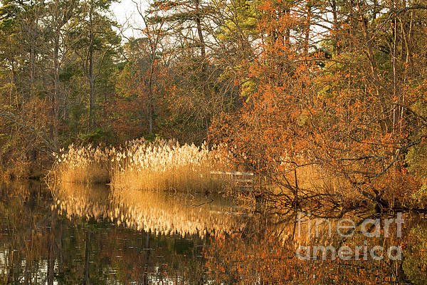 SidecarBookings's tweet photo. New artwork for sale! - "Parvin Reflection" - https://t.co/3URfB9GNSt @fineartamerica https://t.co/6tJJH26HDX