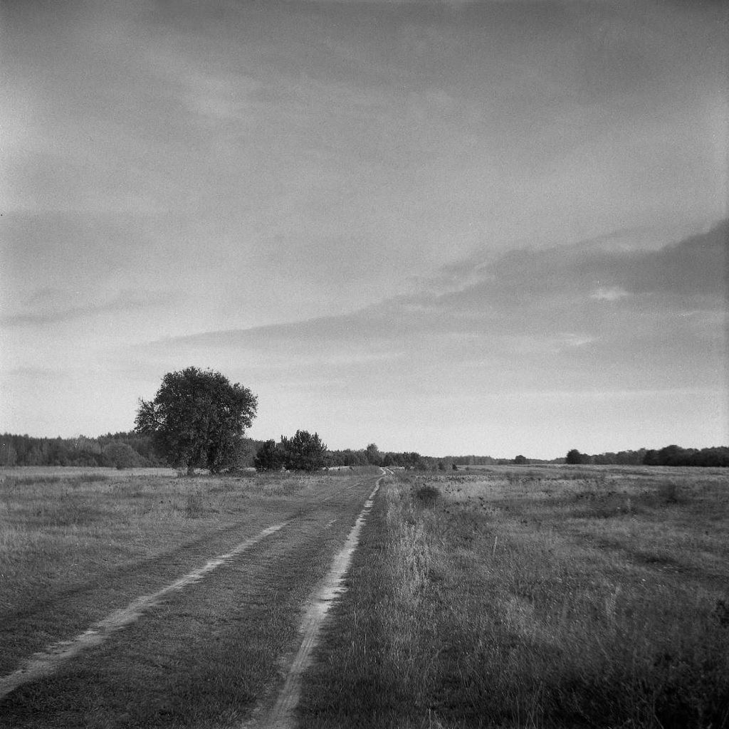 felixfsantistev's tweet photo. RT https://t.co/cT5YSfCj6U Dokądś Lubitel 166b, Ilford Delta 100 . #lubitel #166b #ilforddelta #lomography #lomo #localvibes #landscape #landscapelovers #naturelovers #naturegram #naturephotograph… https://t.co/GFoXTZpake