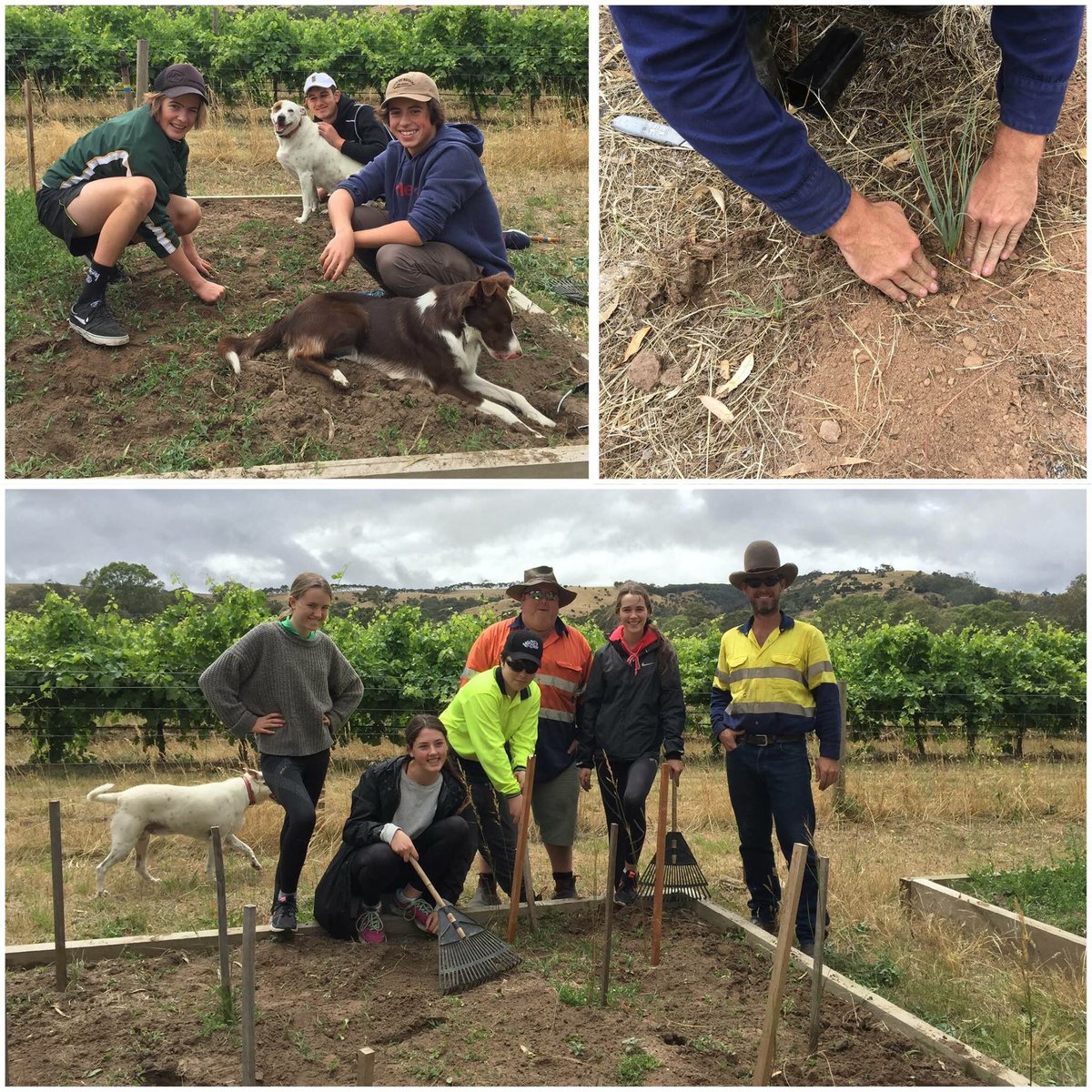 #nextgeneration from #westminsterschooladelaide digging in at the #gemtreewetlands today. Our environment is in good hands!