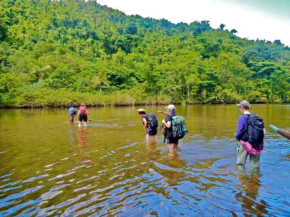 NTD_SA's tweet photo. #ZAHAMENA #National #Park
Near Lake #Alaotra, the largest lake in #Madagascar, lies the 65,000-hectare #Zahamena National Park​​. It contains many plants and animals endemic to the region and #Madagascar including the “#Zahana Mena 👍❤️ https://t.co/EsfNiYQXho
