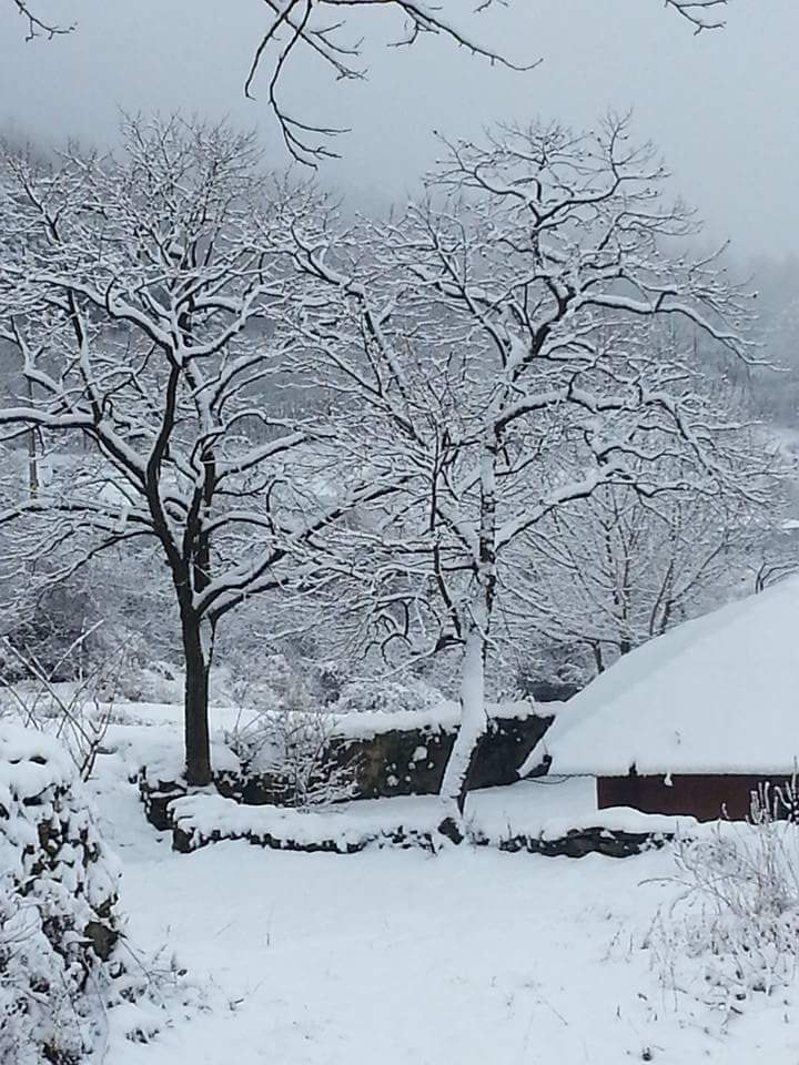 .

" 노스님!!

어떻게 살아야 극락에 갈수 있습니까?

극락 가겠다는. .
그 욕심을 버려라.

난 그 욕심 버리는데. . 
한 평생이 걸렸느니라."

        ᆞ어느 스님과의 대화中

.
m.facebook.com/story.php?stor…

꼭! 보시옵소서 
.