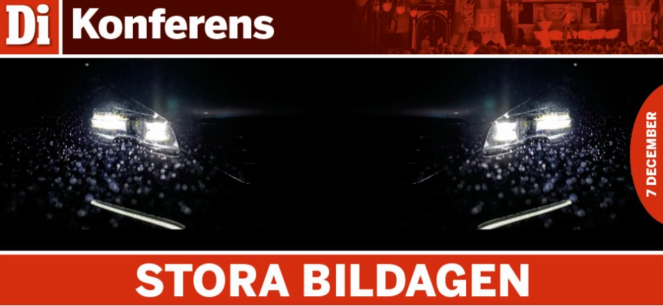 Two interesting sessions on sustainable fleet management @ Di Stora bildagen on Dec 7 in Stockholm! 11 AM - Roelof Hansman with 'Sustainability in fleets' and at 1:30 PM - myself with 'How to make the switch to a 100% clean fleet'.