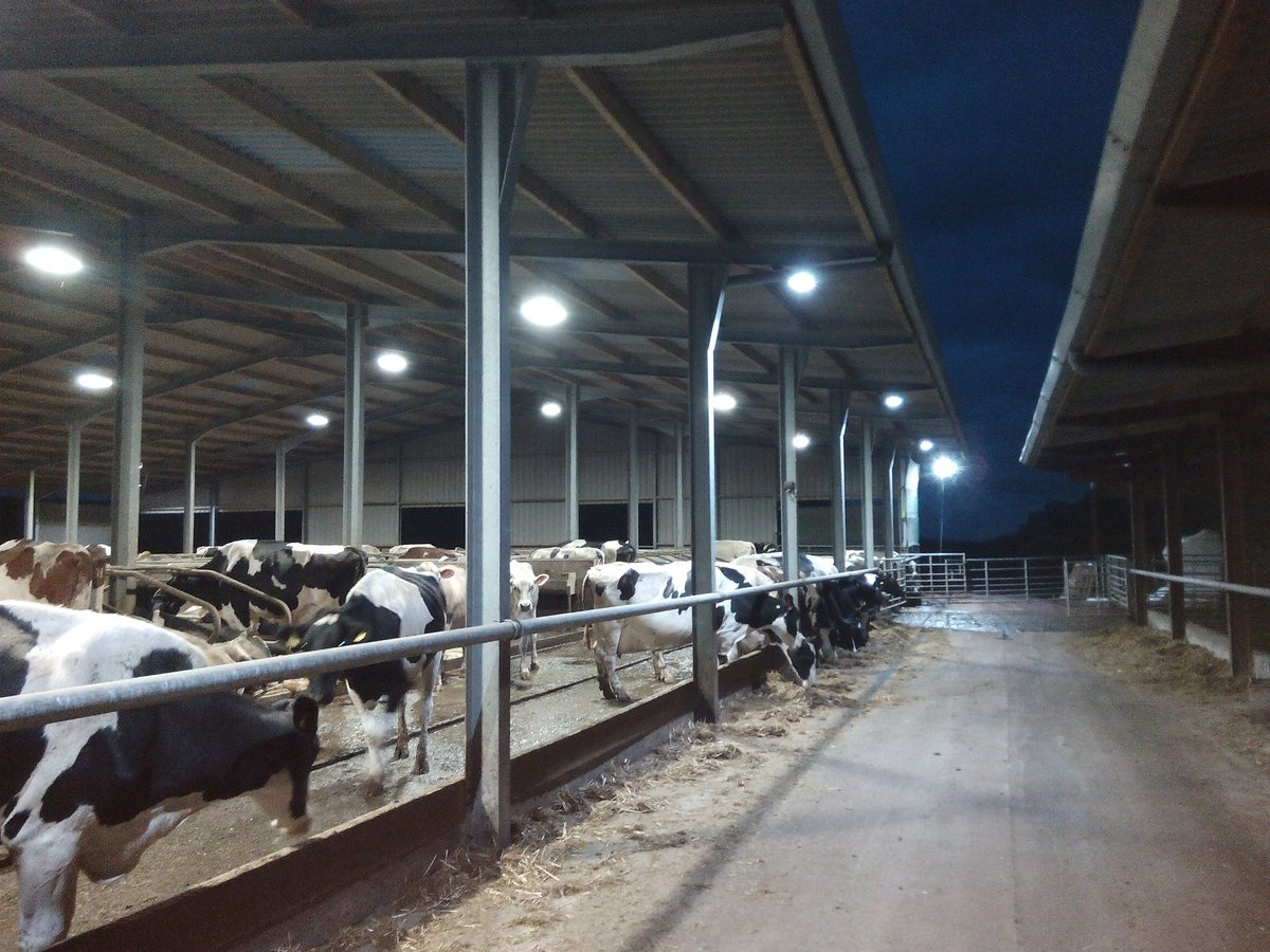 We have supplied and installed many LED lighting systems for dairy units - bit.ly/2zJe5Zh
#Smallgeneratorhirewales #Dieselgeneratorsmanufacturer #Generatorsforsaleinsouthwales
