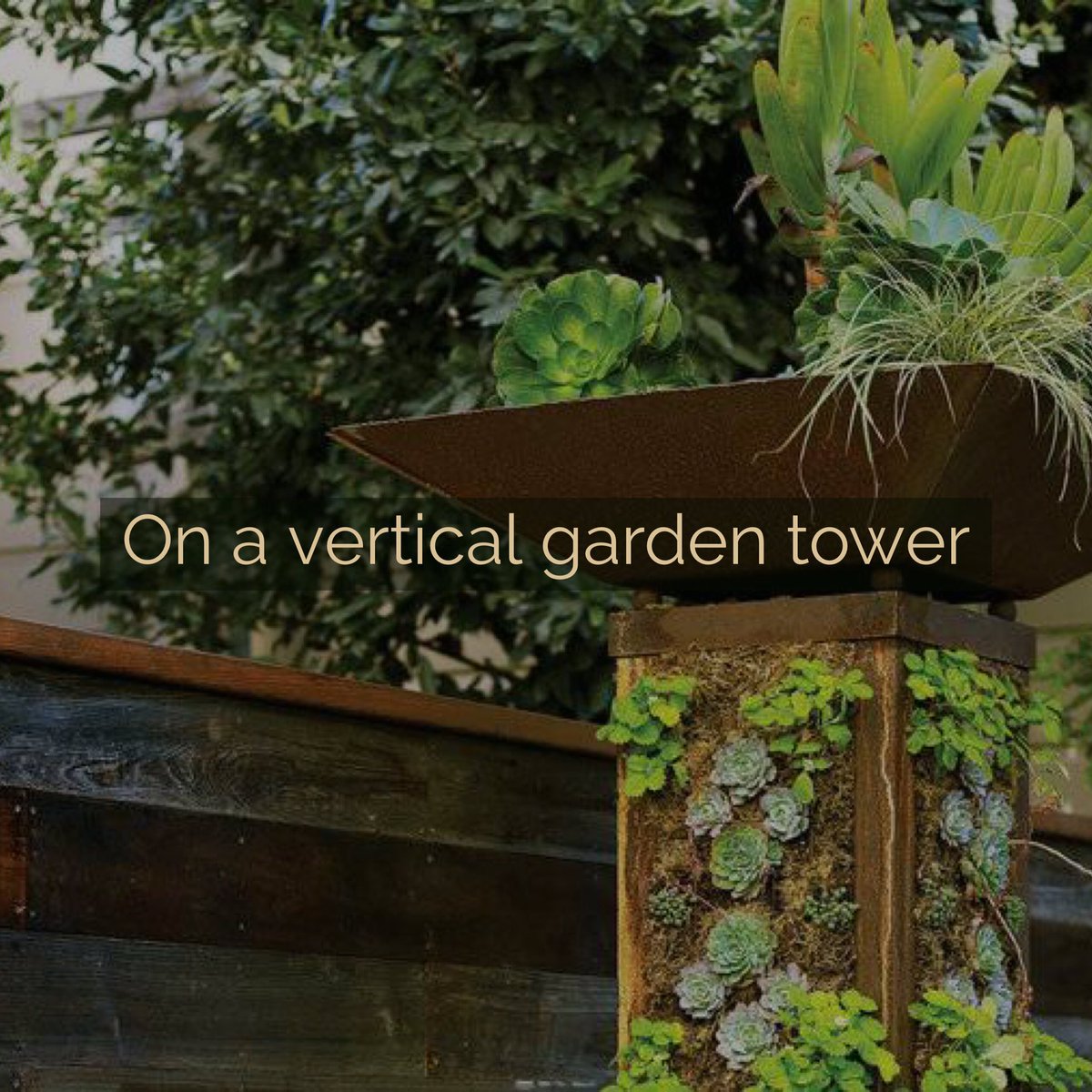 landscapemarkt's tweet photo. This is really neat! #landscaping #brickedging #gardening #gardenedging https://t.co/z1PfNOTaC9