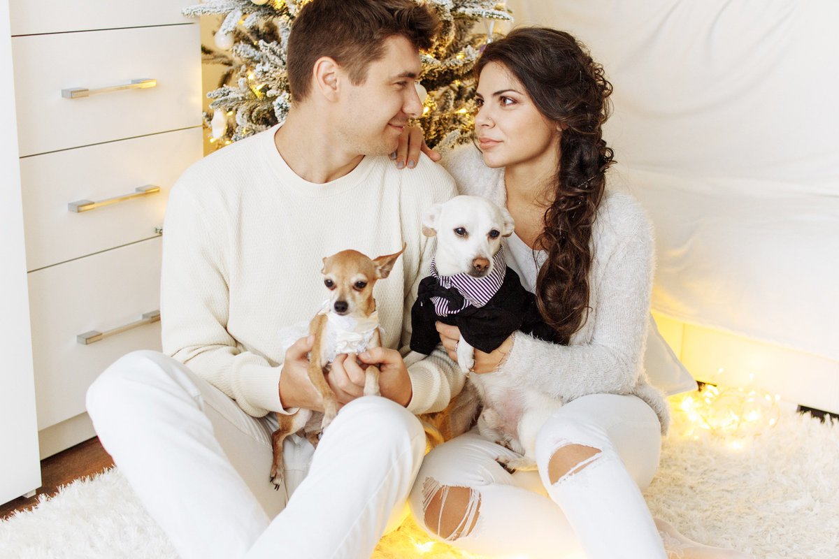 GlobalJetP's tweet photo. Willing to travel with your #puppy? We find you the right private jet so that you can fly with all of them! Our team is happy to assist you further to the whole process #Relax &amp; #fly! #MondayMotivation #HappyMondays #Christmas #ChristmasIsComing #leisure #London #pets #familytime https://t.co/ULr8Wdx5FT