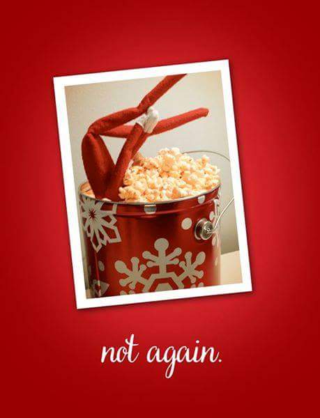 docpopcornli's tweet image. Our Elf, Kettle, really gets into his tin. #kettle #popcorn #popcornfun