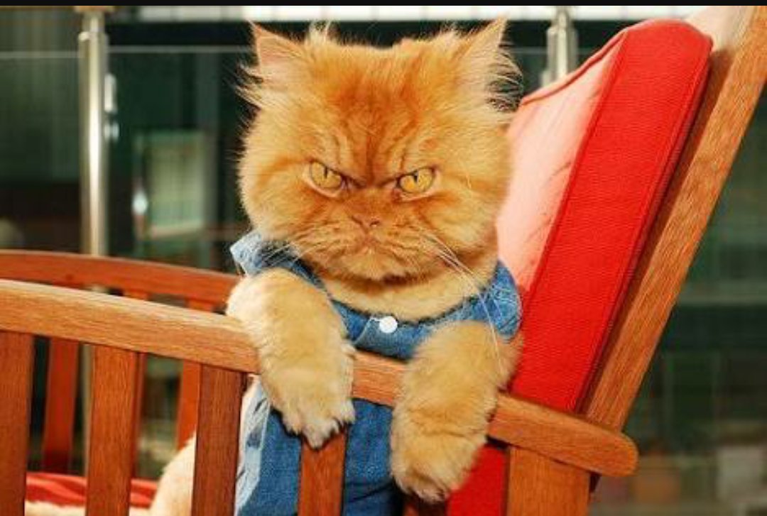 ������ �������, �������� ���������� � ������