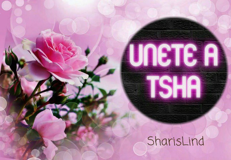 #TEAMSHARIS #F4F #RT2G 
<a href="/SharisLind/">Alisha #TSha ⛄️</a> <a href="/marssenior/">MARS Publicidad C.A.</a> <a href="/carolinav_gz4/">🦋C🐬A🍃R🌼O🌸L💗♏️</a> <a href="/ANGELICAMYS/">ANGELICA M GUTIERREZ</a> <a href="/El_Gibaa/">El Gibaa</a> <a href="/VValcuende/">💗🇻 .🇦.🇳.🇪.🇸.🇦</a> <a href="/ferm_16/">F♡e♡r♡n♡a♡n♡d♡a #MGWV</a> <a href="/AmirisMichel/">₳ℳΙ₹Ι₷ Τεα₥₭₹ι₷₷  😘</a> @doctagaby @lucasAle45 @IngNavMassimo <a href="/AlexAngelMont17/">🌟Alex Angel 🐦👼#TSha 🌟</a> @Mercedhoy <a href="/insaurraldeh/">⭐POLI⭐ #MGWV⭐</a> <a href="/GFBS17/">👦#Gust `s TFBS</a> <a href="/PrincessMajix/">🌹Ivy</a>