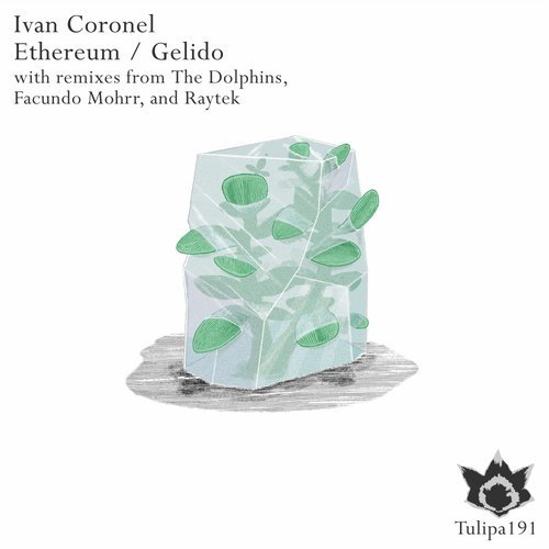 SoundsOfToma's tweet photo. Ivan Coronel - Ethereum (Facundo Nohrr Rmx) [Tulipa Recordings] [Tech House]

#ivancoronel #ivan #coronel #ethereum #gelido #originalmix #thedolphins #facundomohrr #remix #techno

Listen it on YouTube: https://t.co/9L7pDYvJfD https://t.co/VC7ZVgvGOf