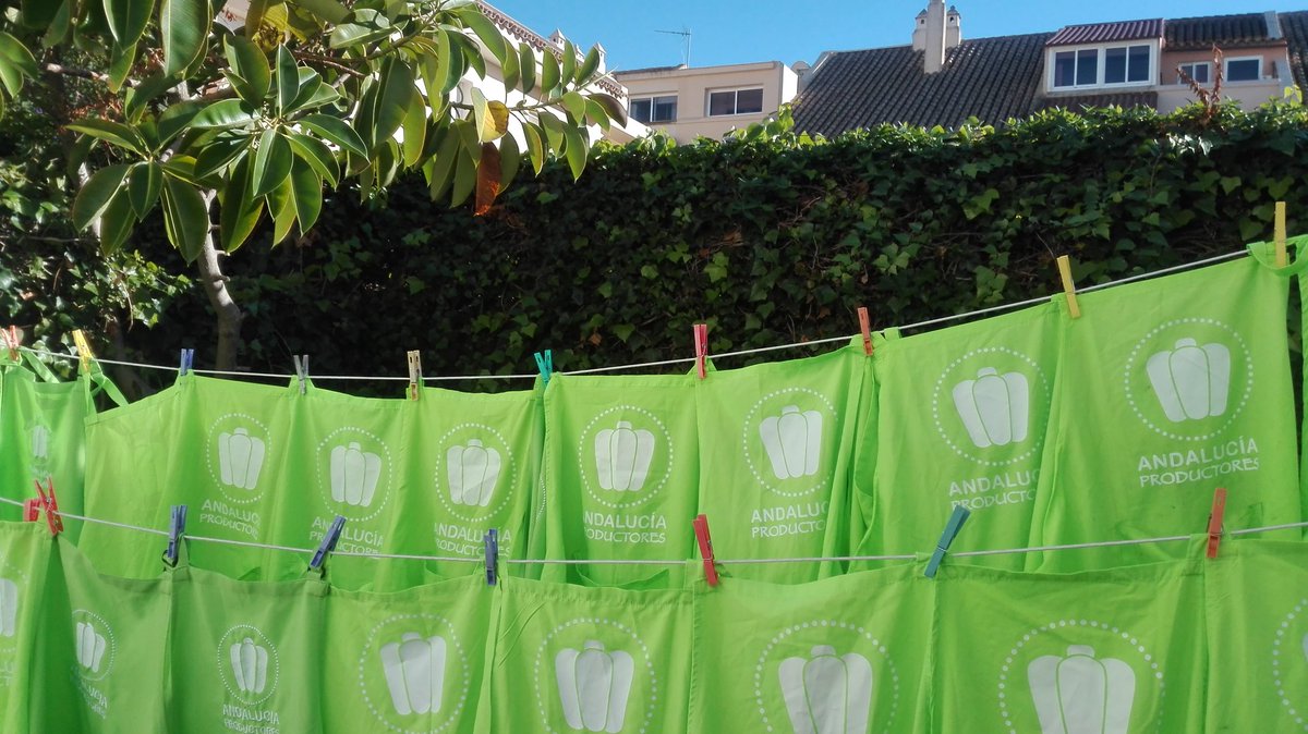 AndProductores's tweet photo. Todo preparado, todo limpio!! Miércoles inauguramos a ritmo de villancicos. #yoconsumolocalAp https://t.co/vpLwss8L4I