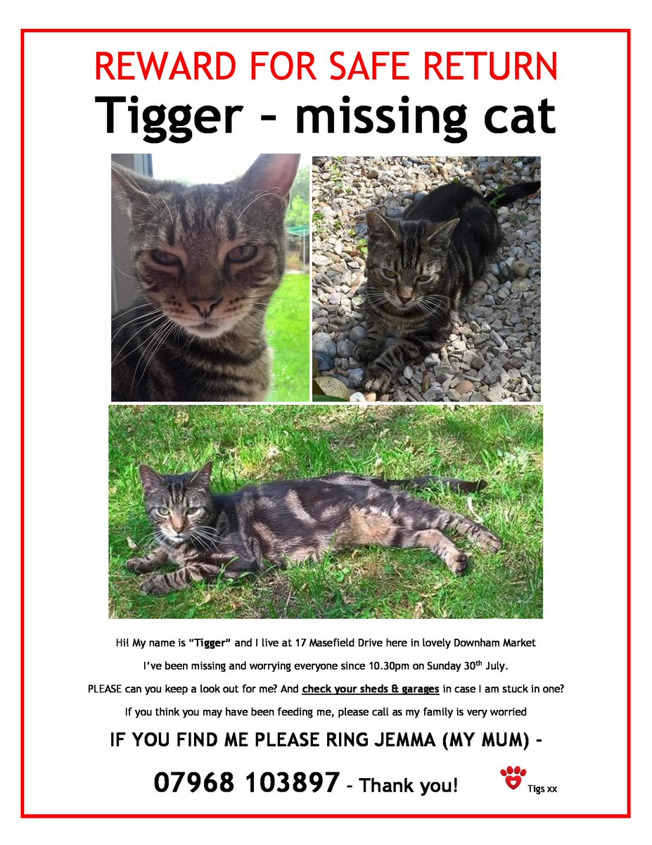 jaymimauk's tweet photo. Tigger is still missing, been over 4 months now. We just want to know what happened to him #scanme #findtigger @PetsLocated @CatsMissing https://t.co/2z7S29LYha