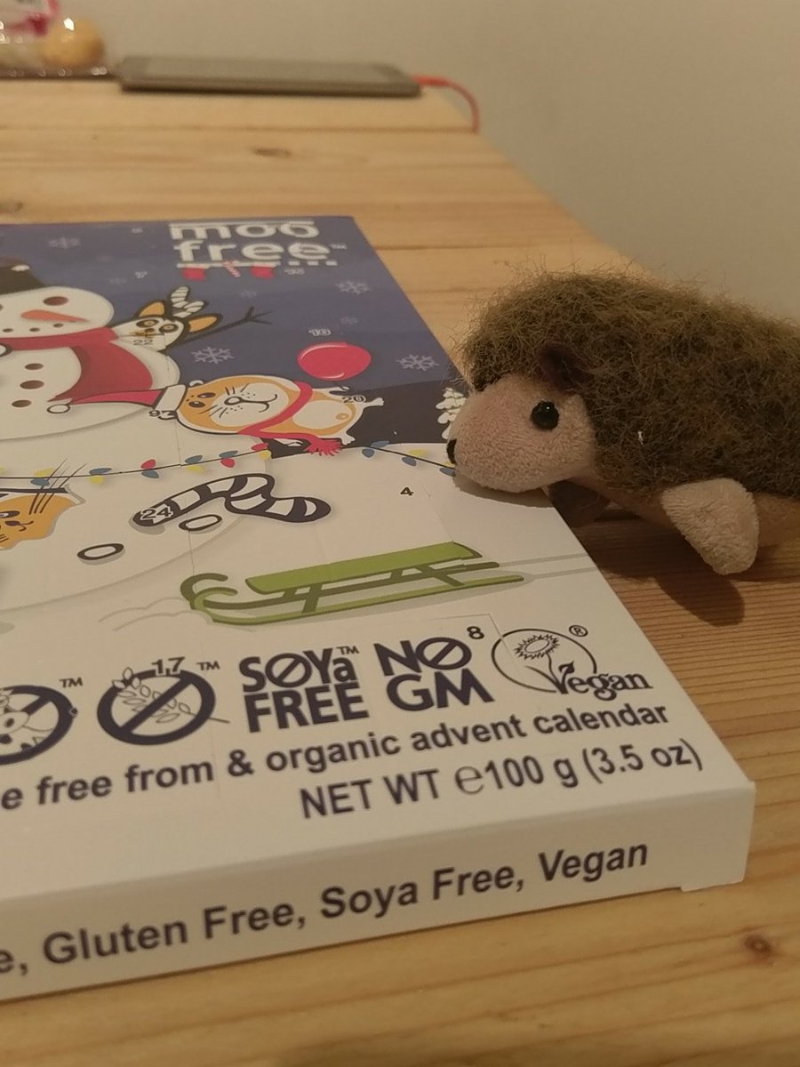 FuriouslyFree's tweet photo. @GrumpyHerman  hates Christmas. But advent chocolate? He looks quite excited. Happy Christmas Herman. https://t.co/5E9zFSaKBu