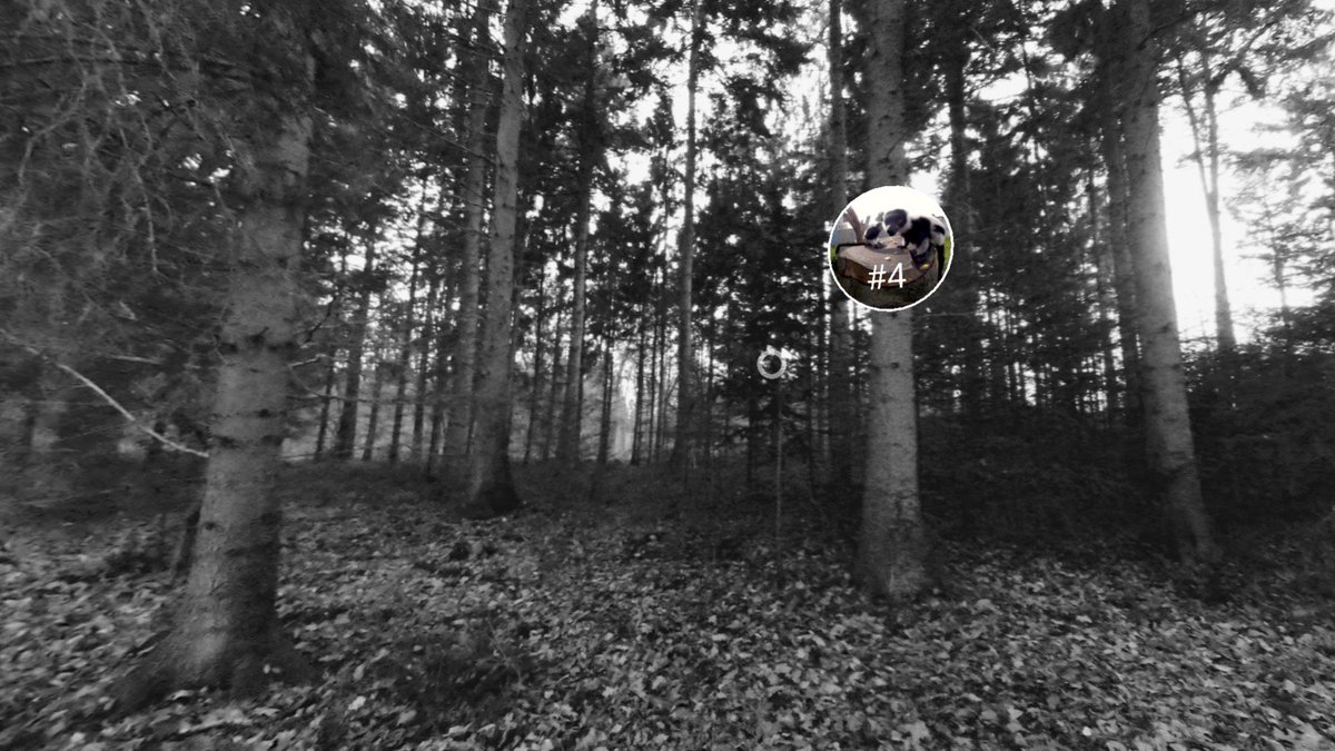 dw_innovation's tweet photo. Labels for #VRcalendar window number 4: funny, furry, fabulous.
Thanks for this, @OleKrogsgaard. https://t.co/dkgHWPTvB8 #VRxmas #FaderStories https://t.co/FFM0mCtQSB
