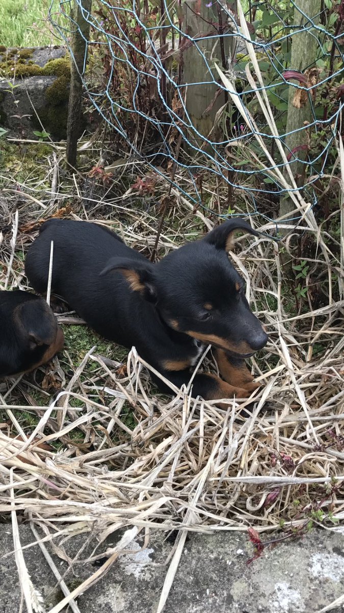 Sarah O' Connell tweet media