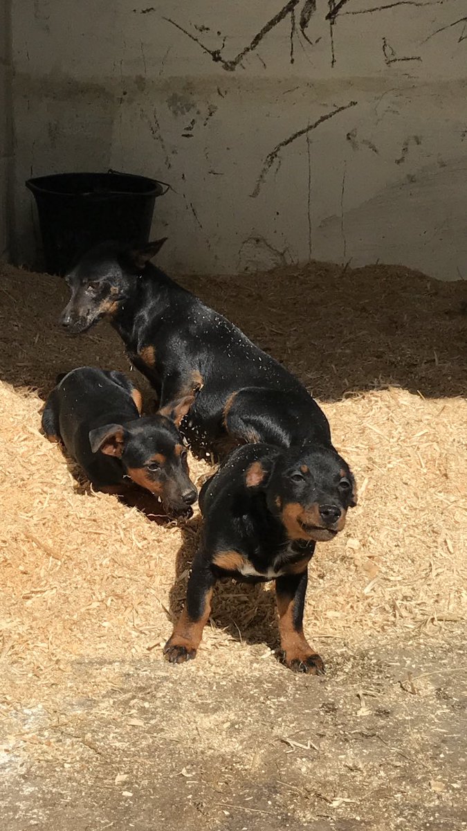 Sarah O' Connell tweet media