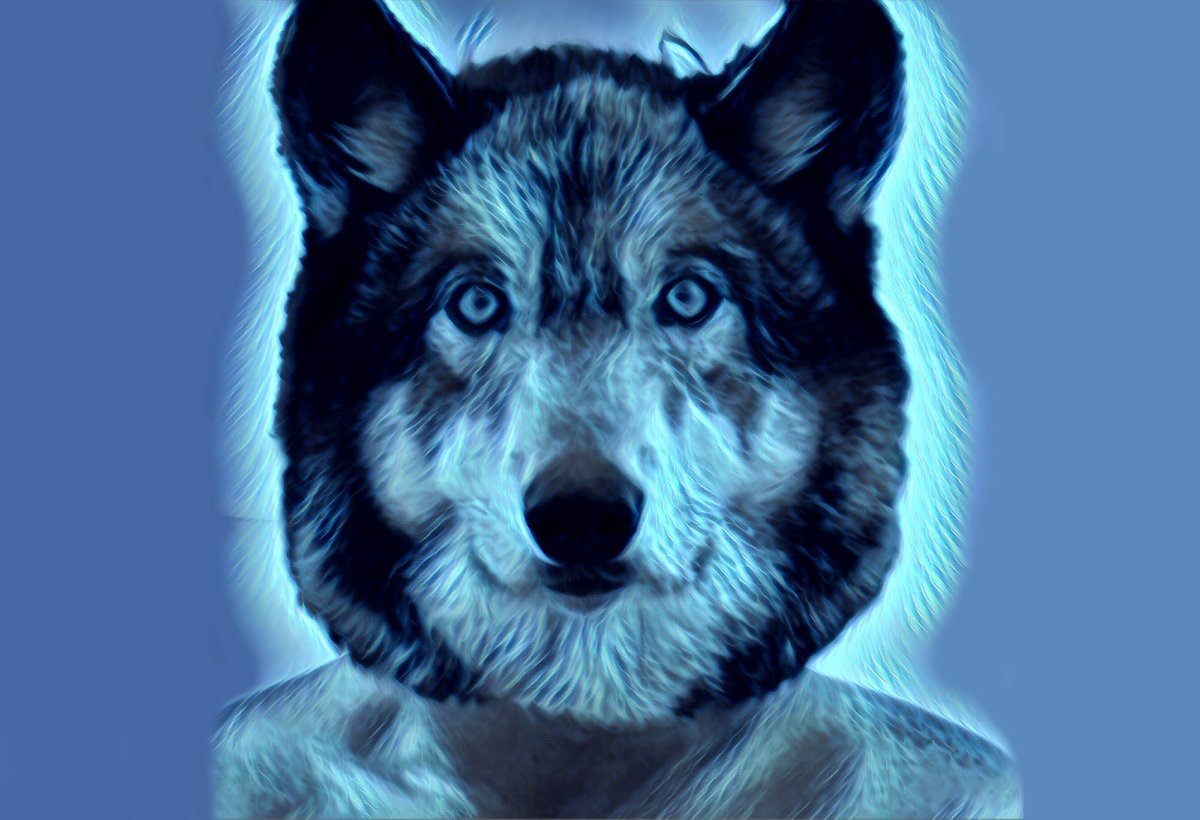 tobetraded's tweet photo. För er som inte hann läsa i helgen: Ny #krönika av @2ndtrader a.k.a Lone_Wolf ute på #TradeCMC:
“#Gold is #money. Everything else is #credit.” - J. P. Morgan. https://t.co/lY5JbdowXq https://t.co/ODQ76X6sei