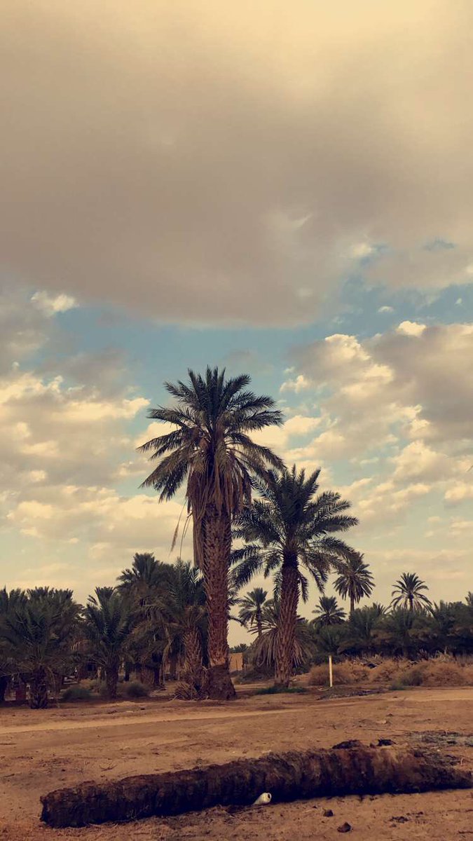 "اللهم لا تجعلني أظن ظناً وأخيب".
<a href="/Mkktarat/">مختارات</a> 
#تصويري
#مصور 
#سنابيات
 #بكل_احتراف