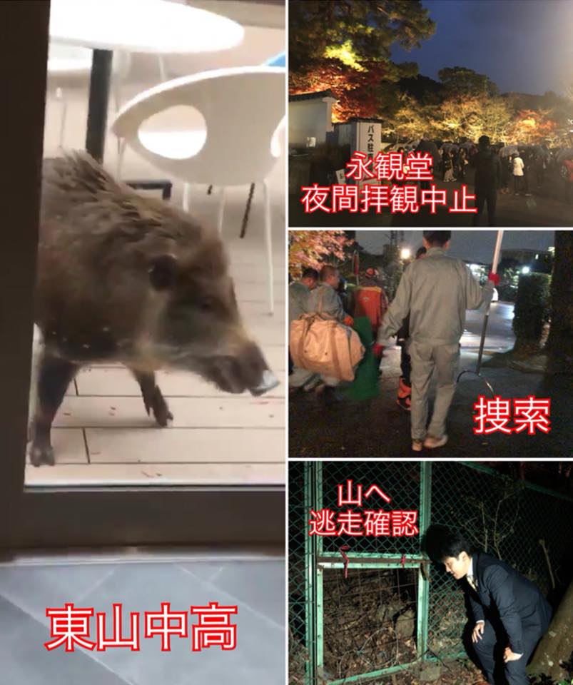 東山中学校 Twitter Search Twitter