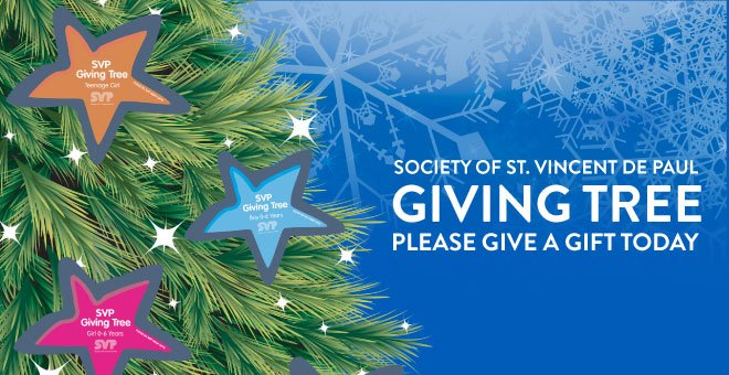 SVP - Ireland tweet media