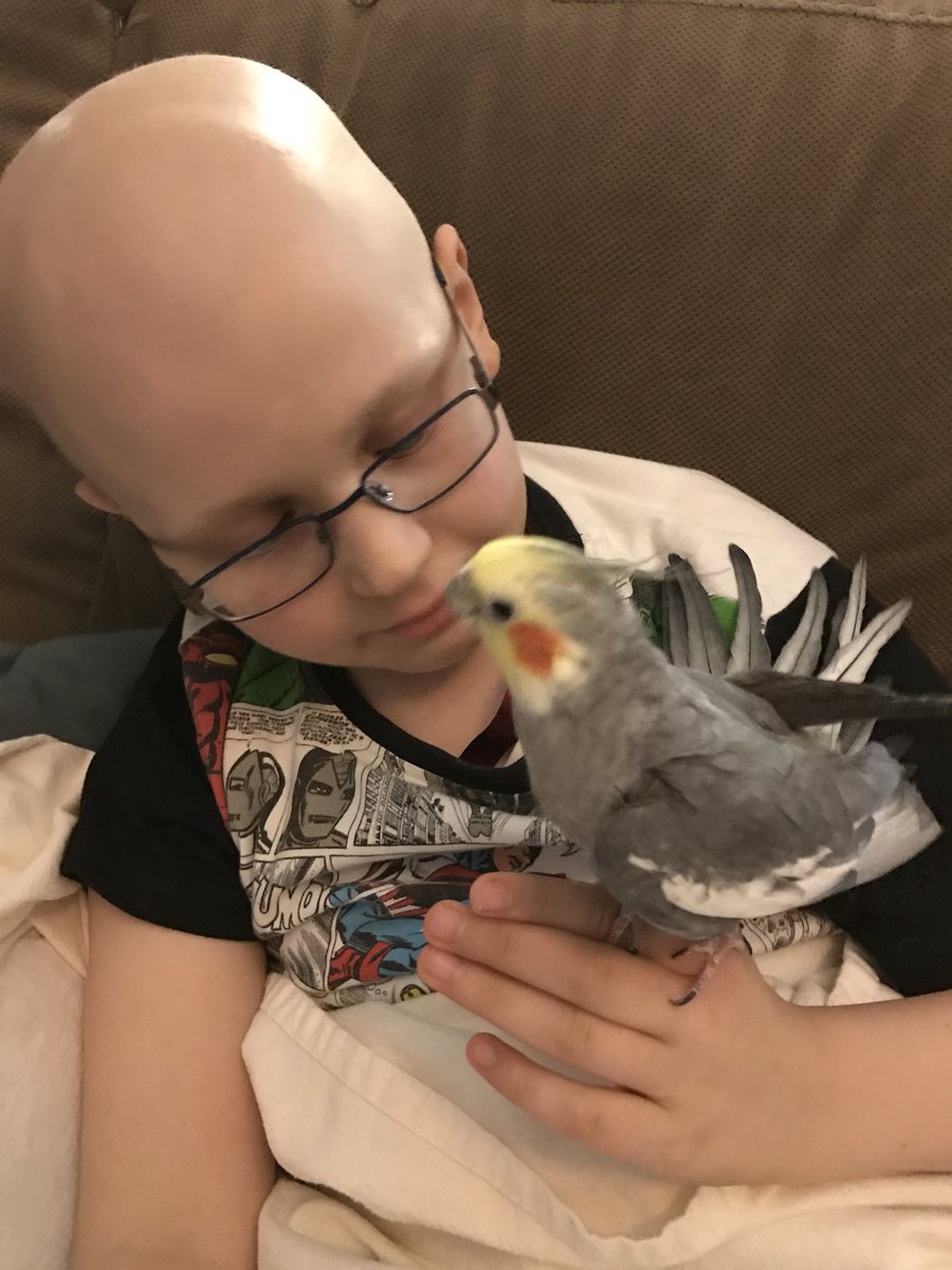 Alexander's Journey tweet media