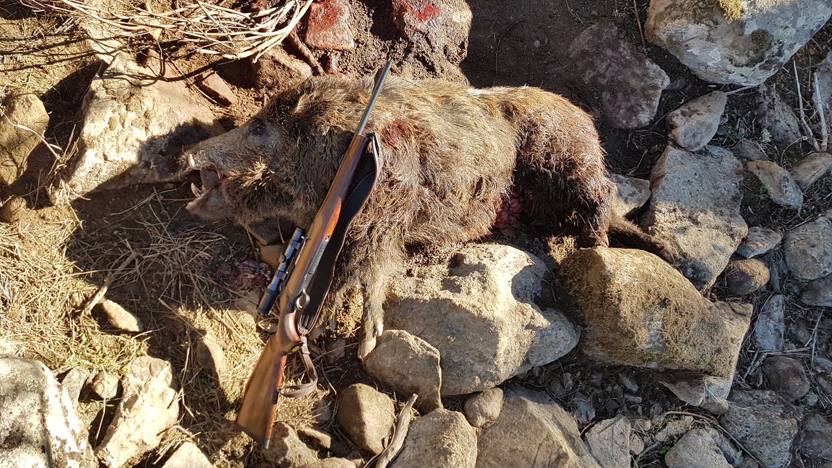 buen fin de semana montero
AhoraCazo.com