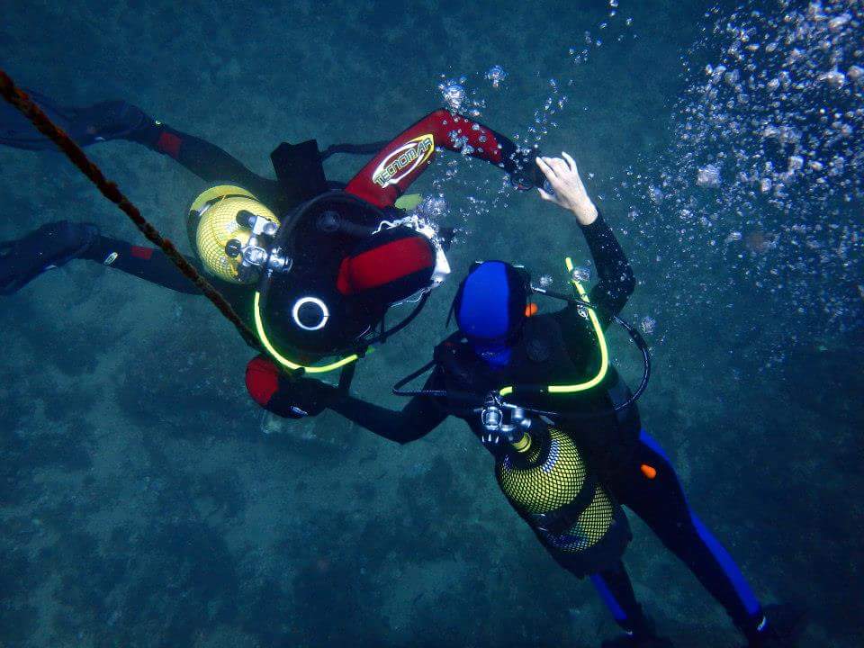 Jorreto's tweet photo. Los fondos marinos de #costatropical desde #Calahonda a #Casteldeferro son impresionantes, con zonas de posidonia y gran biodiversidad #WeLoveGranada, un lujo @cifunet https://t.co/kXps7Mkunq