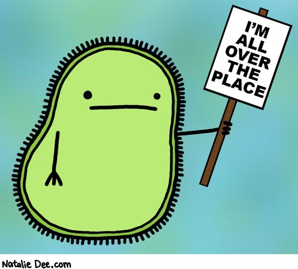 MicroShield1's tweet image. Anyone can use #Microshield to improve hygiene, reduce the risk of cross contamination &amp;amp; the spread of infection.Our disinfection process takes your premises from just looking clean to being hygienically clean. Prices from £75 + VAT  #infectionprevention #sanitisation