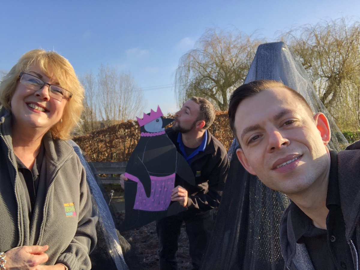 We have just been out to try and find the Penguins - have you spotted any yet! #KidsActivities #Christmas #ChocolateTreat