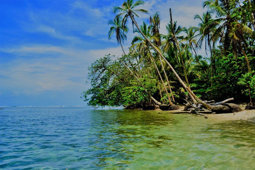 5 x strand in Costa Rica! world-of-blogs.nl/store_page/5-x…