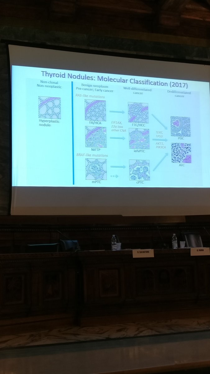 pathologyfinder's tweet photo. Nikiforov on histological-molecular classification of #thyroid nodules #cytopath #FNA #MolCyth17 https://t.co/1JjWqFxjAv