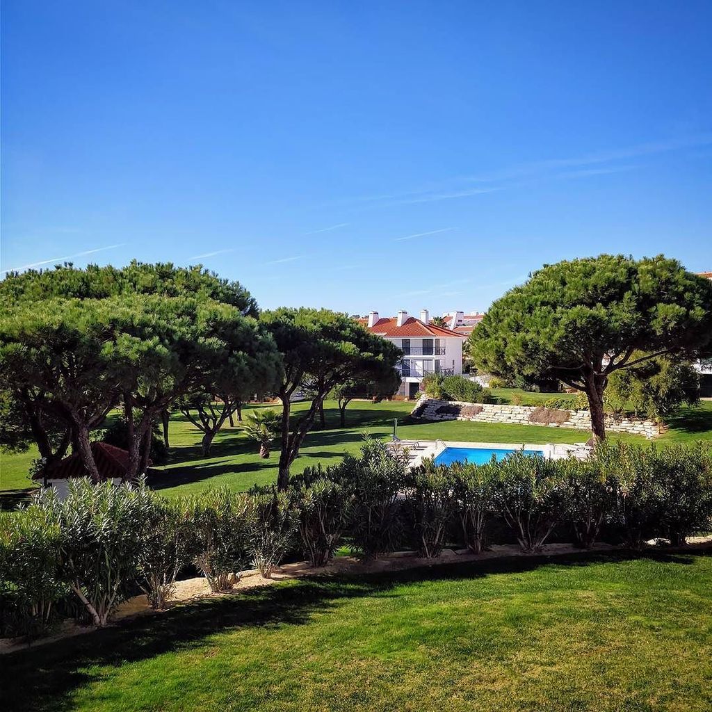Daracle's tweet photo. #Dec04th #1photoaday #DARACLE365 #itsadaracle
Can you believe this weather!!! OK the temp has dropped a little bit to 15°C during the day and half that at night, but it is December right!!
#theplacetobe #sunny☀️ #blueskys #algarveblue #priceless #sho… https://t.co/9wCYI0YnNN https://t.co/vrMUva9b7O