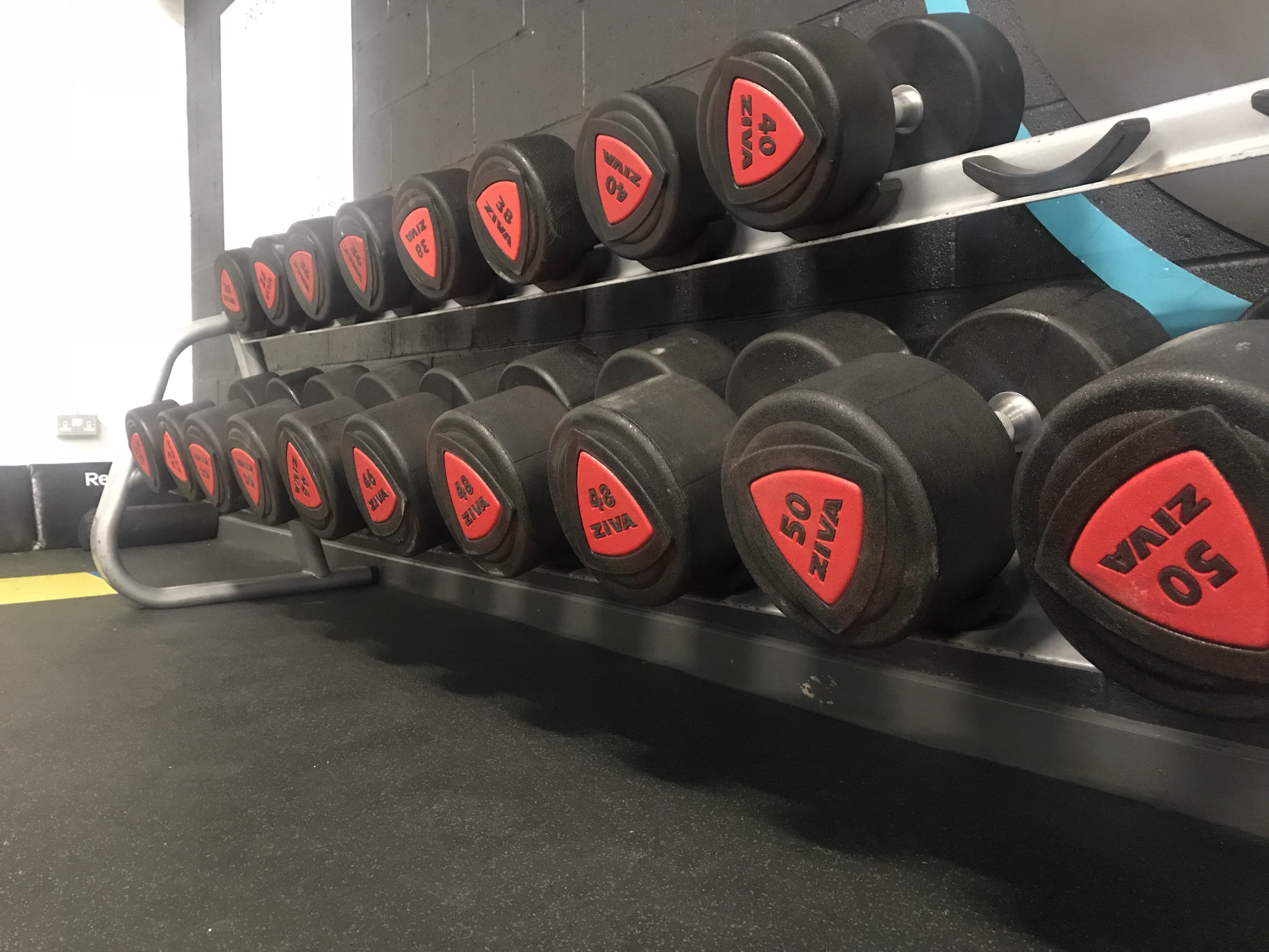 Puregym dumbbells sale