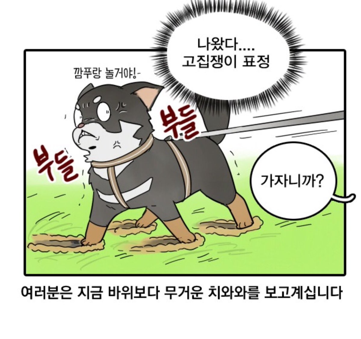 진짜멍 시즌2 <왔다 개보리> 마지막화 올라왔답니다 ^ㅁ^ !https://t.co/0ztIAhKqvM 