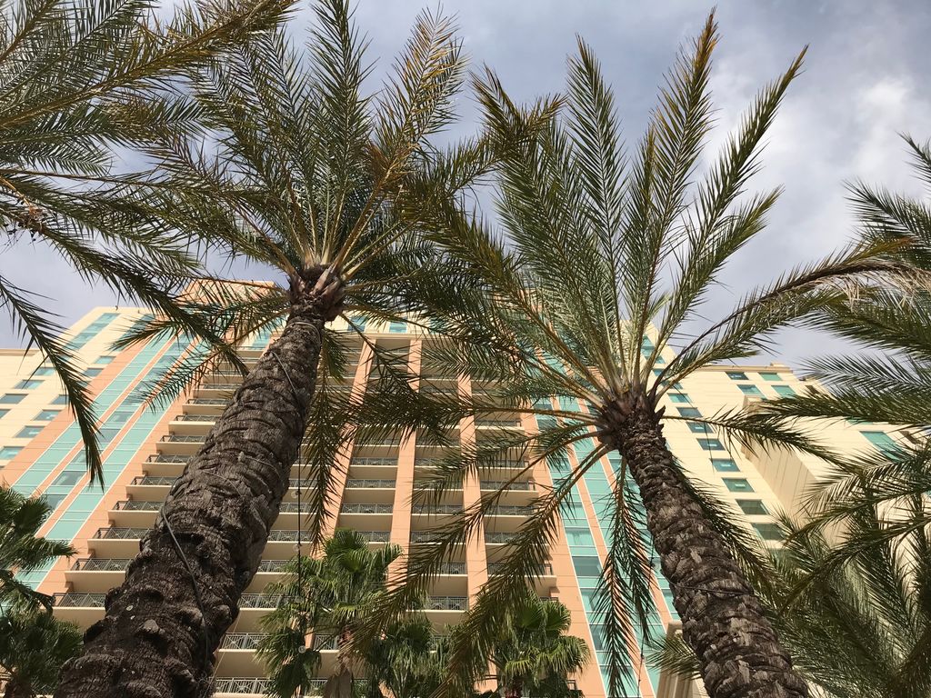 Bisnow's tweet image. Less than 24 hours until @Bisnow and @dreamit join forces in Tampa to discuss how we can build cities of the future #CRETechSummit bit.ly/2ALs0St