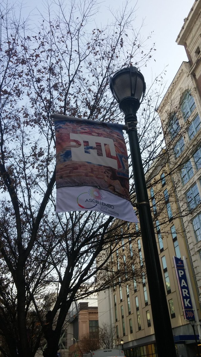 Beautiful morning in Philly! It's Monday at #ascbembo2017! Come chat with us at B32.