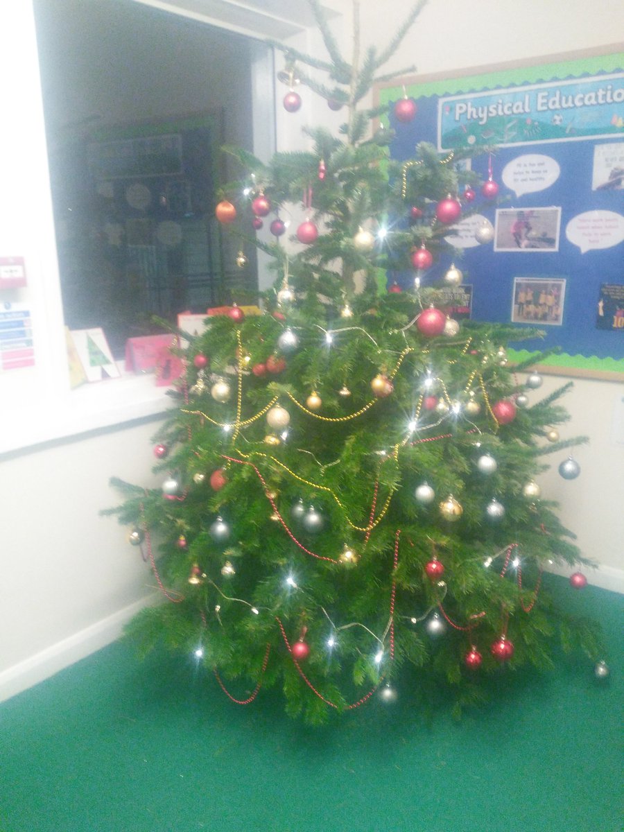 Thank You To The Shed Centre Mitcham Centrecouk For Donating Our Lovely Christmas Tree Which Has Been Decorated Today By Thank You To The Shed Centre Mitcham Centrecouk For Donating Our Lovely Christmas Tree Which Has Been Decorated Today By