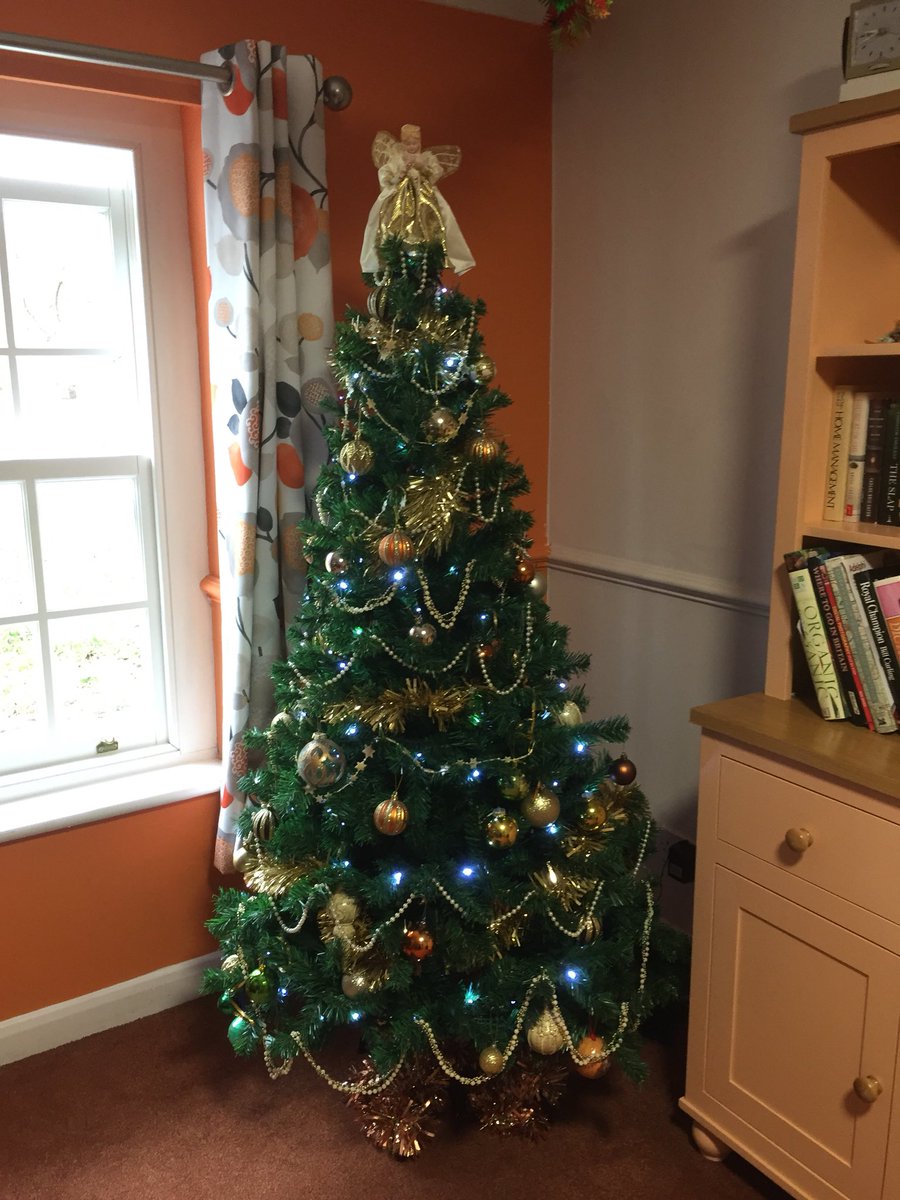 CasterbridgeDT2's tweet photo. It’s beginning to look a lot like Christmas... https://t.co/AXQanHKJBt