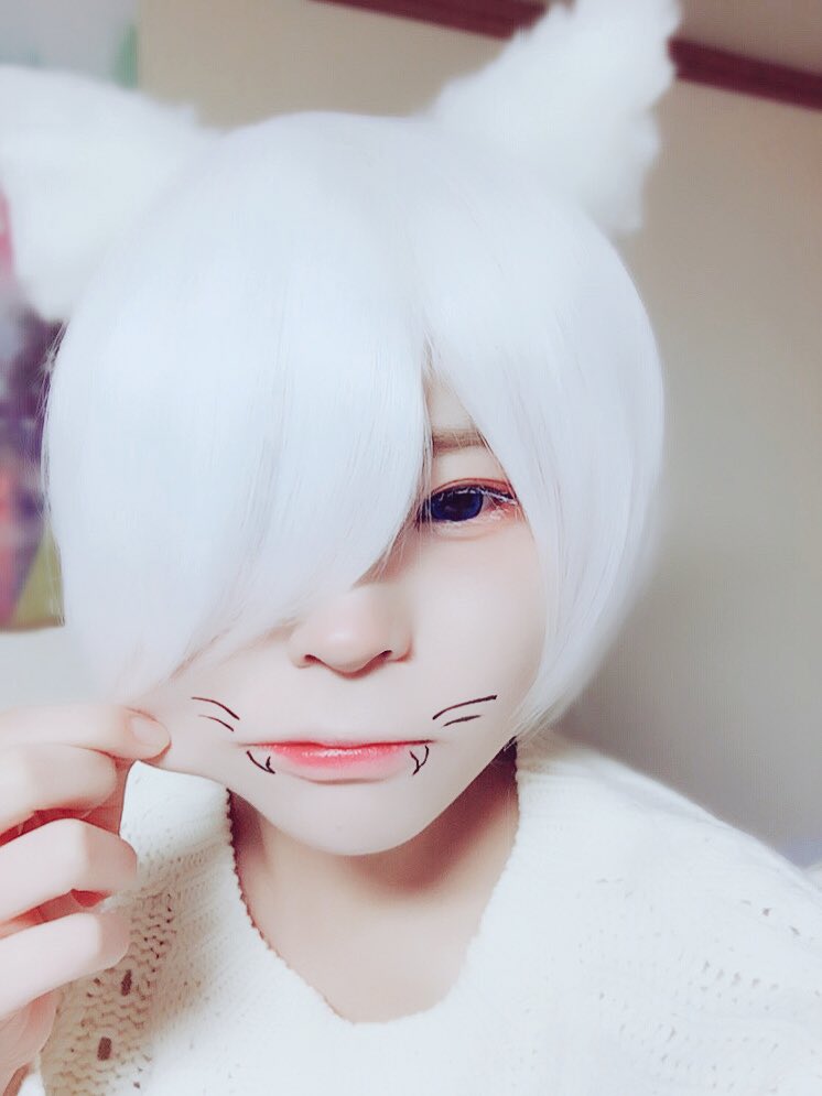 k_KAY3104's tweet photo. にゃんにゃんしました。
#雰囲気嫌いじゃないよって人ＲＴ 
#コスプレイヤーさんと繋がりたい 
#白猫 https://t.co/wjh9kpoP7Z