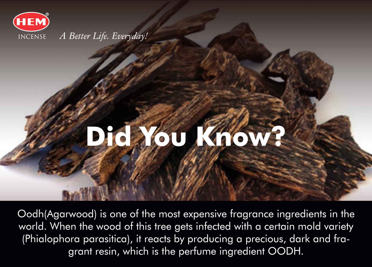 hemincens's tweet photo. #hemincense #oodh #agarwood #facts #fragrance https://t.co/AgJwCByfgg