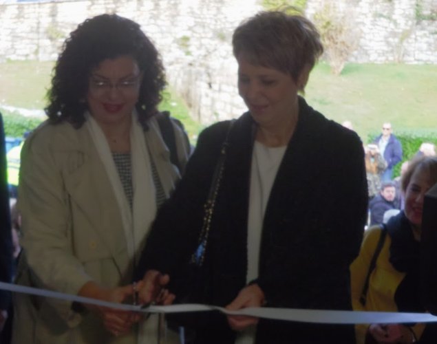 Προβολή εικόνας στο Twitter