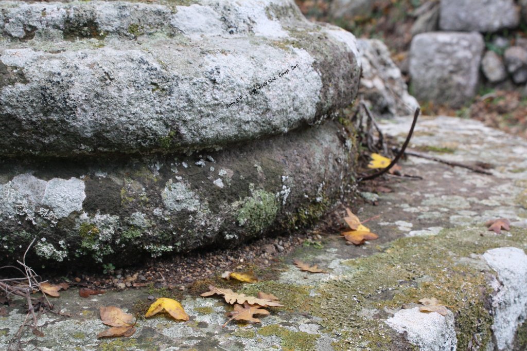 Lymphavitale's tweet photo. #VENERDI' #8DICEMBRE: sui Monti della #Tolfa la #natura nasconde meraviglie assolute...luoghi del passato che meritano di essere riscoperti. Chi vuole essere dei nostri? Info al 3345987964 oppure info@cooplympha.it  #trekking #camminiamoassieme https://t.co/sByqKWSZEt