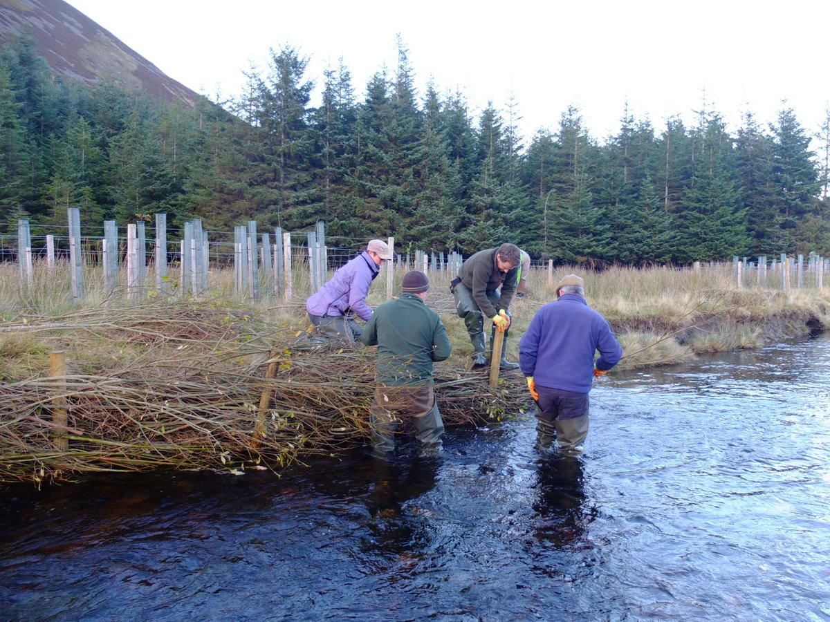 DeeCatchment's tweet photo. Installing and planting up #nativetree enclosures and trialling #willowspilling to protect and enhance the #riverbank. thanks to @IFMfish and @RiverDeeTeam for the training https://t.co/cf3E2raKXT