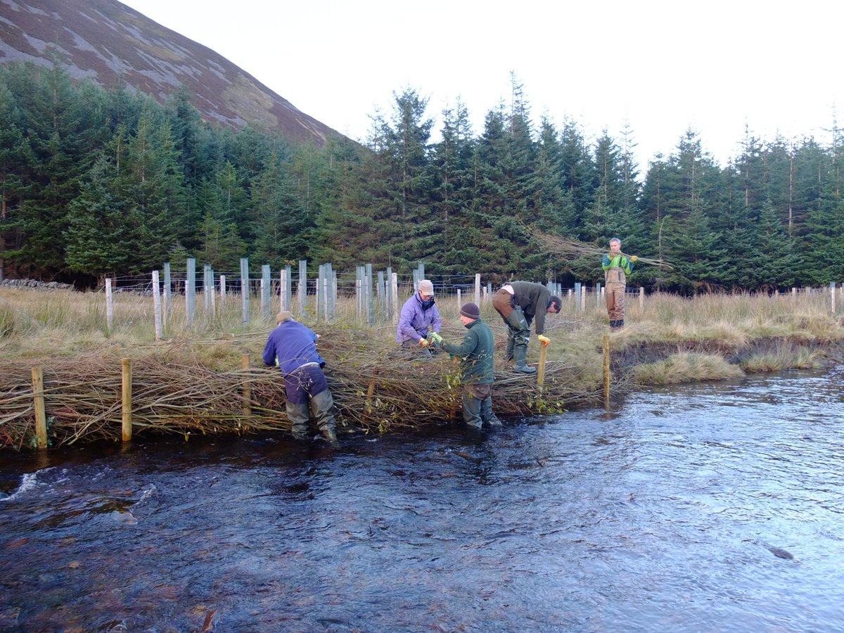 DeeCatchment's tweet photo. Installing and planting up #nativetree enclosures and trialling #willowspilling to protect and enhance the #riverbank. thanks to @IFMfish and @RiverDeeTeam for the training https://t.co/cf3E2raKXT