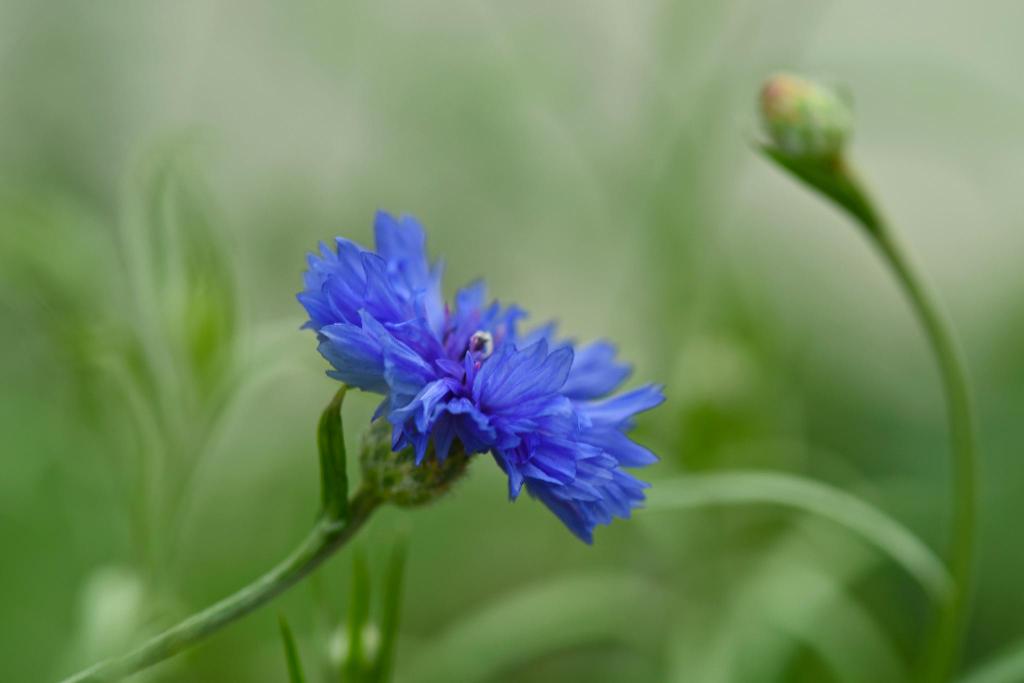 나이만 먹고
딱히 해놓은 일도 없는것 같을때

우울한 마음과 함께
자괴감에 빠져들 때가있습니다

하지만
당신은 잘 느낄수 없겠지만

많은 일들을 해내왔고
앞으로도 많은 일들을 해낼것 입니다

지금도 잘 하고있으니
자신을 나물하거나 자책할 필요는없습니다